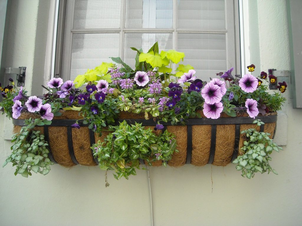 A window box with flowers in it is a great inexpensive decorating idea for apartments and small spaces.